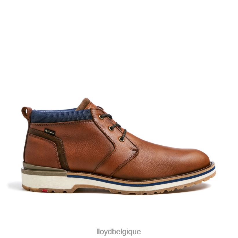 LLOYD Las Vegas Hommes brun 4Z6Z66511 chaussures