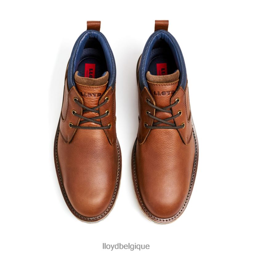 LLOYD Las Vegas Hommes brun 4Z6Z66511 chaussures