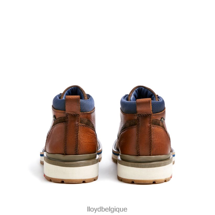 LLOYD Las Vegas Hommes brun 4Z6Z66511 chaussures