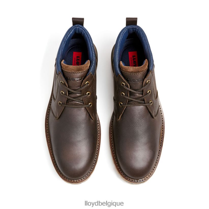 LLOYD Las Vegas Hommes brun 4Z6Z66512 chaussures