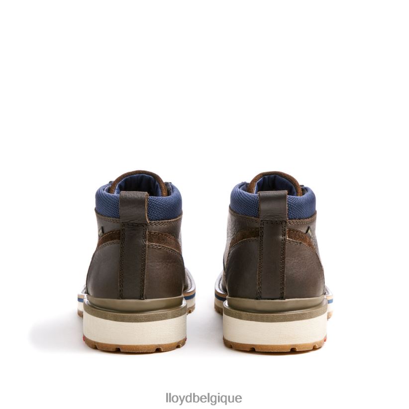 LLOYD Las Vegas Hommes brun 4Z6Z66512 chaussures