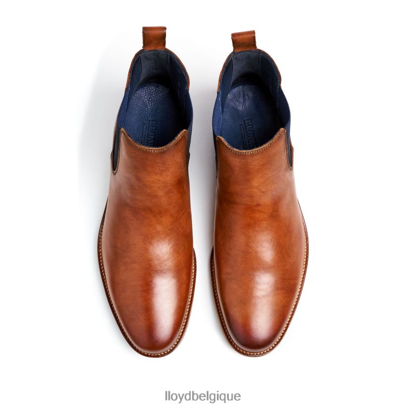 LLOYD Laurent Hommes brun 4Z6Z66453 chaussures