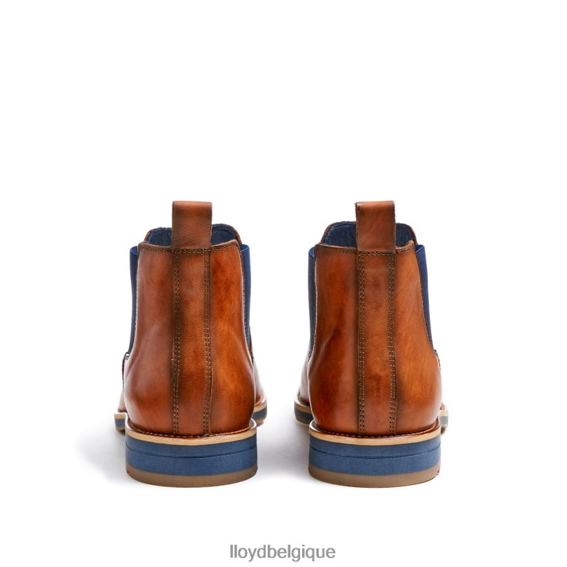 LLOYD Laurent Hommes brun 4Z6Z66453 chaussures