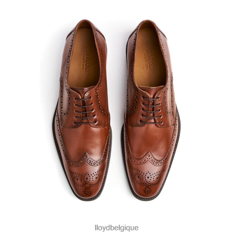 LLOYD Lucien Hommes brun 4Z6Z66574 chaussures