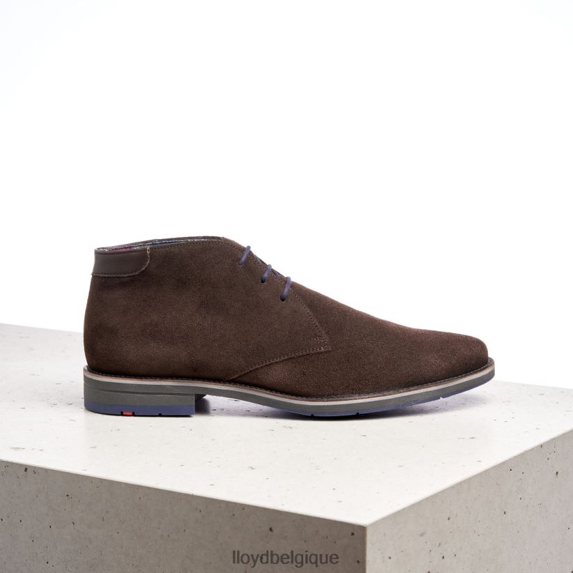 LLOYD Lénard Hommes brun 4Z6Z66536 chaussures