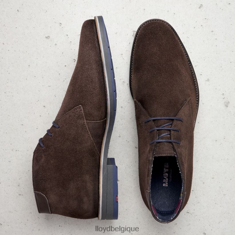 LLOYD Lénard Hommes brun 4Z6Z66536 chaussures