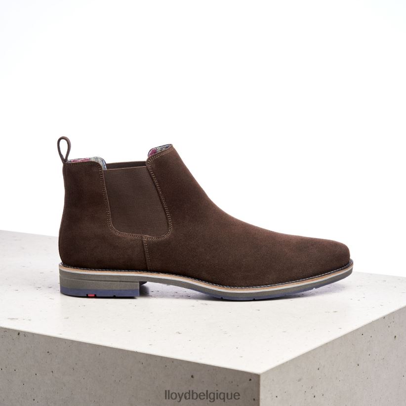 LLOYD Léon Hommes brun 4Z6Z66524 chaussures