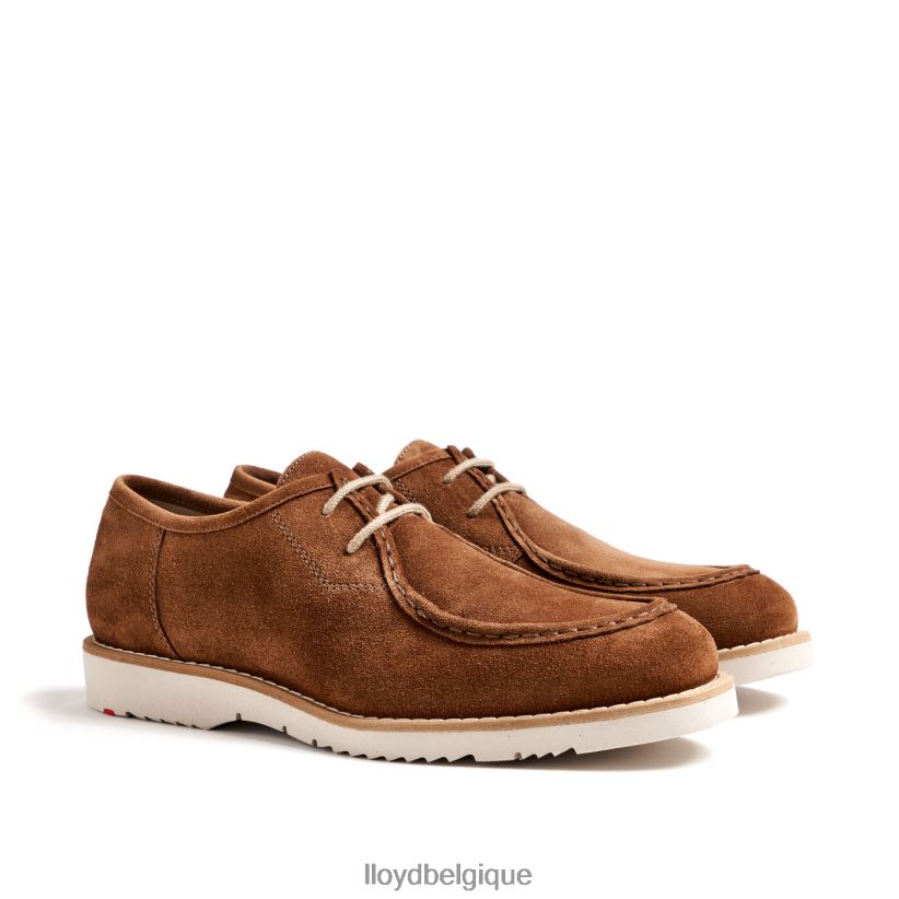 LLOYD Lévi Hommes brun 4Z6Z66210 chaussures