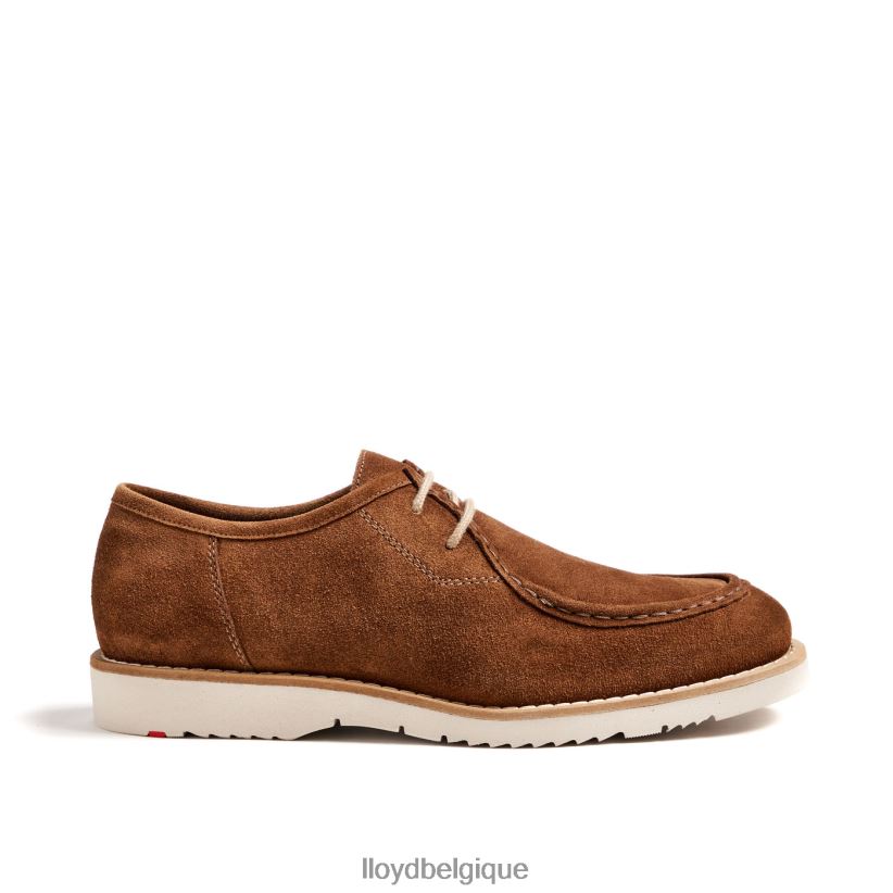 LLOYD Lévi Hommes brun 4Z6Z66210 chaussures