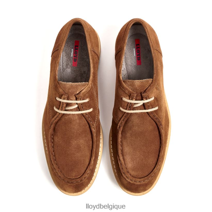 LLOYD Lévi Hommes brun 4Z6Z66210 chaussures