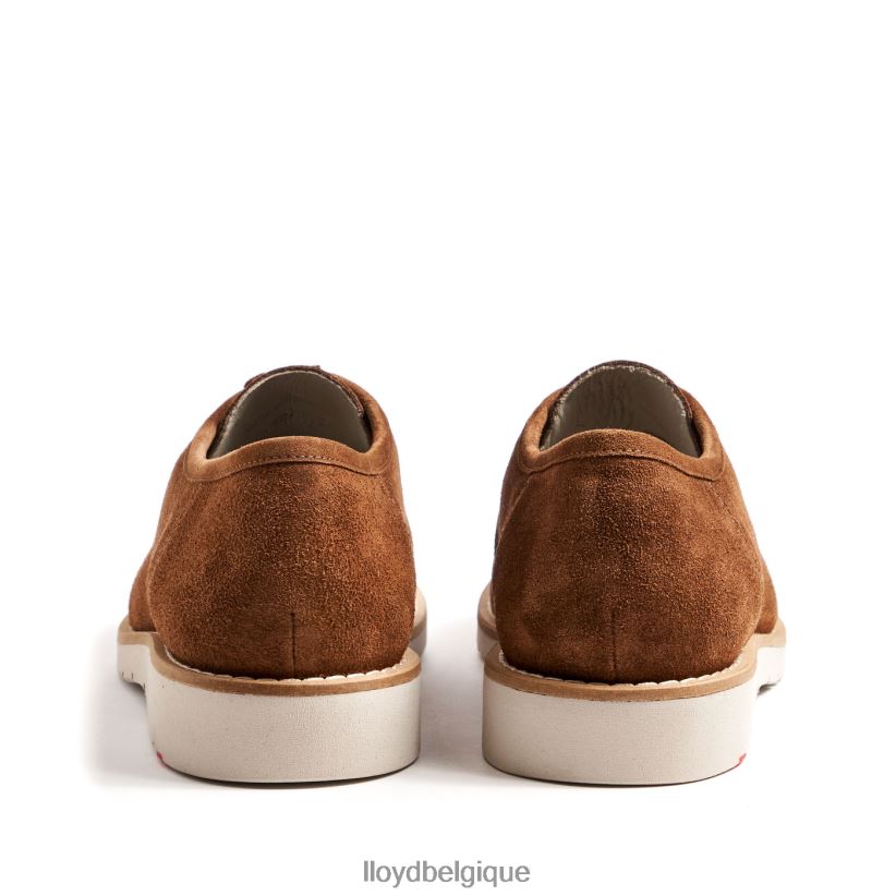 LLOYD Lévi Hommes brun 4Z6Z66210 chaussures