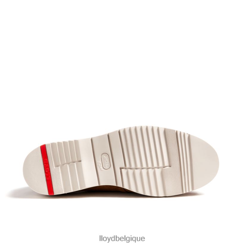 LLOYD Lévi Hommes brun 4Z6Z66210 chaussures