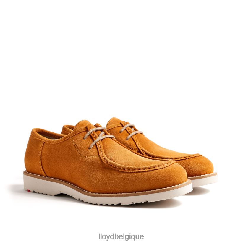 LLOYD Lévi Hommes jaune 4Z6Z661322 chaussures
