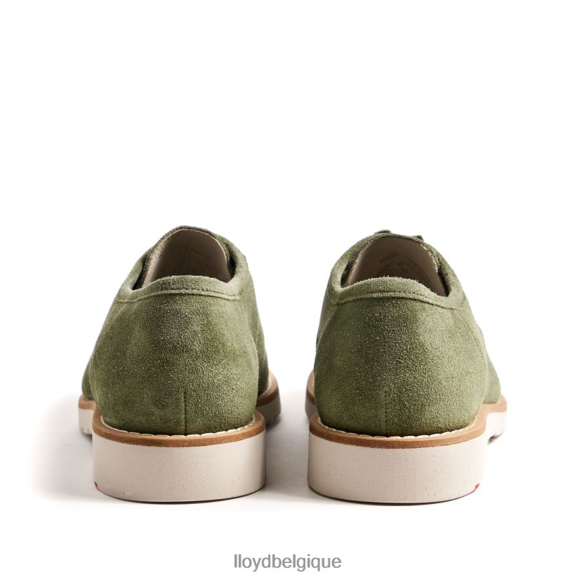 LLOYD Lévi Hommes vert 4Z6Z66206 chaussures