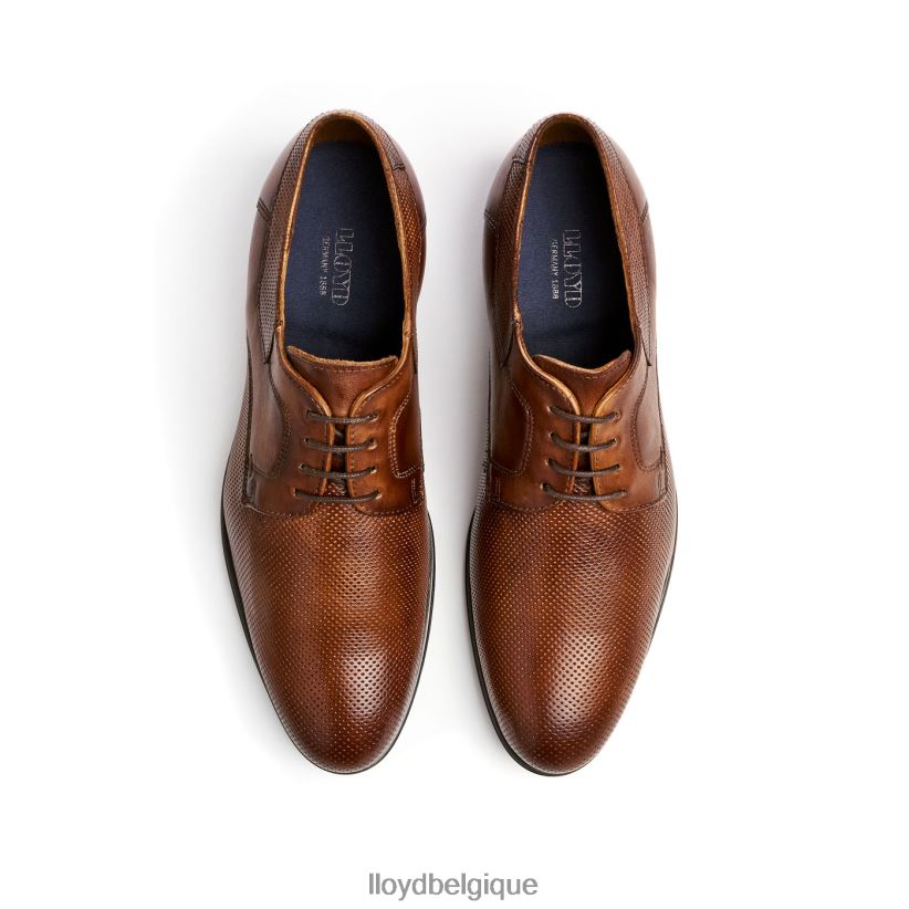 LLOYD Lévine Hommes brun 4Z6Z6687 chaussures