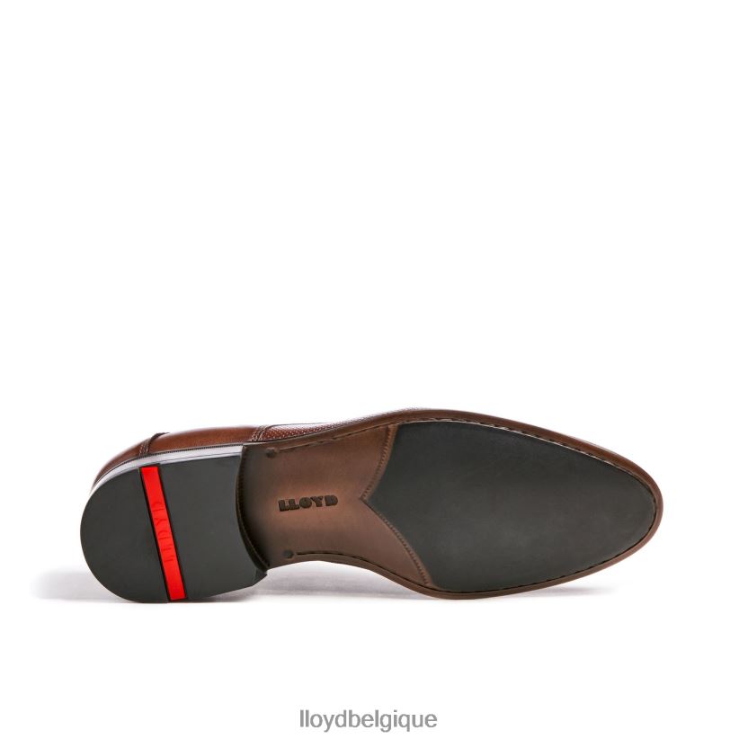 LLOYD Lévine Hommes brun 4Z6Z6687 chaussures