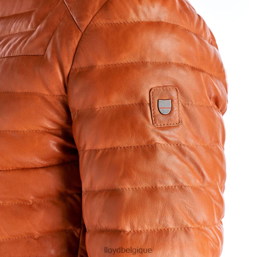 LLOYD Malio Hommes orange 4Z6Z66639 vêtements