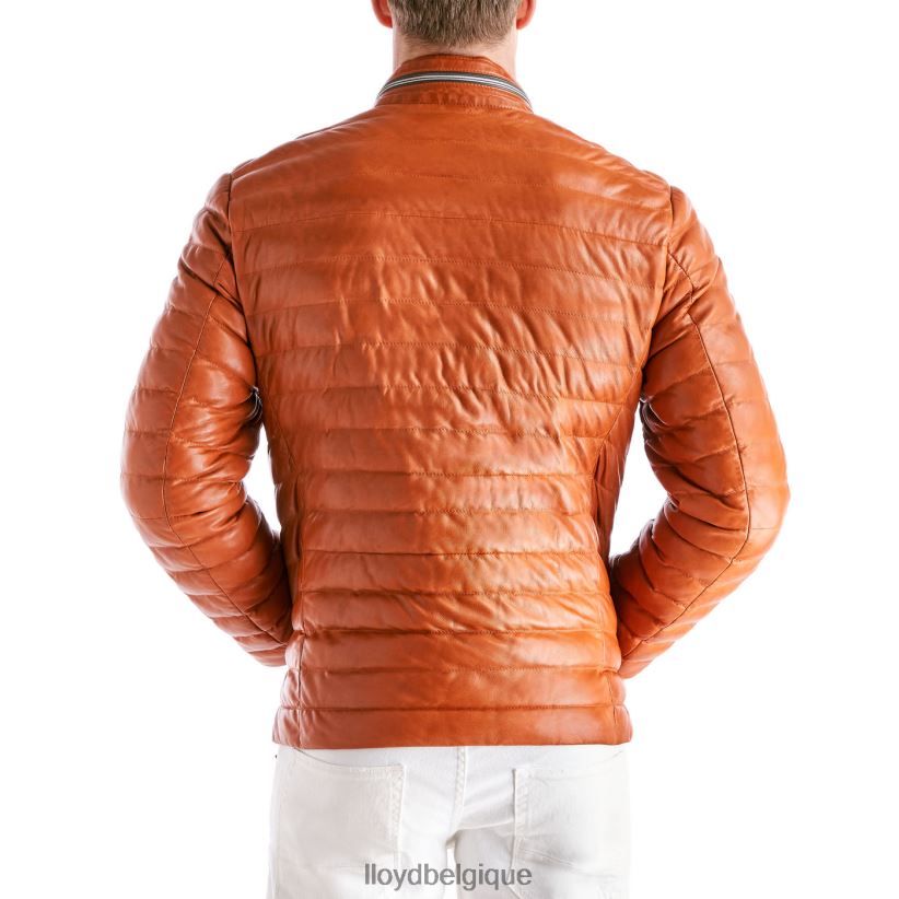 LLOYD Malio Hommes orange 4Z6Z66639 vêtements