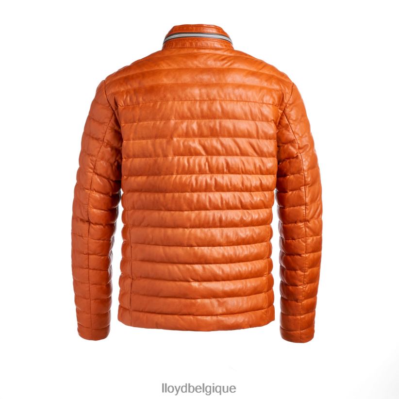 LLOYD Malio Hommes orange 4Z6Z66639 vêtements