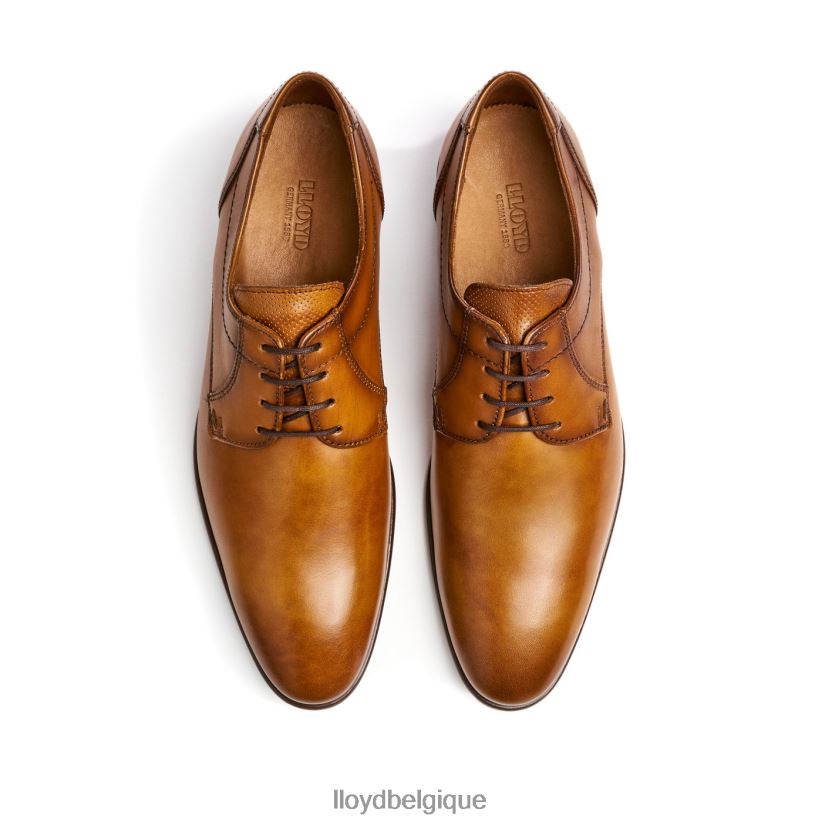 LLOYD Manon Hommes brun 4Z6Z66118 chaussures