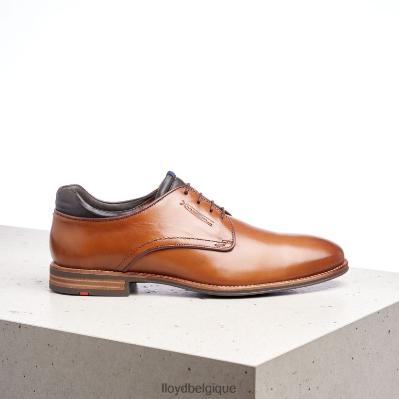 LLOYD Massimo Hommes brun 4Z6Z66201 chaussures