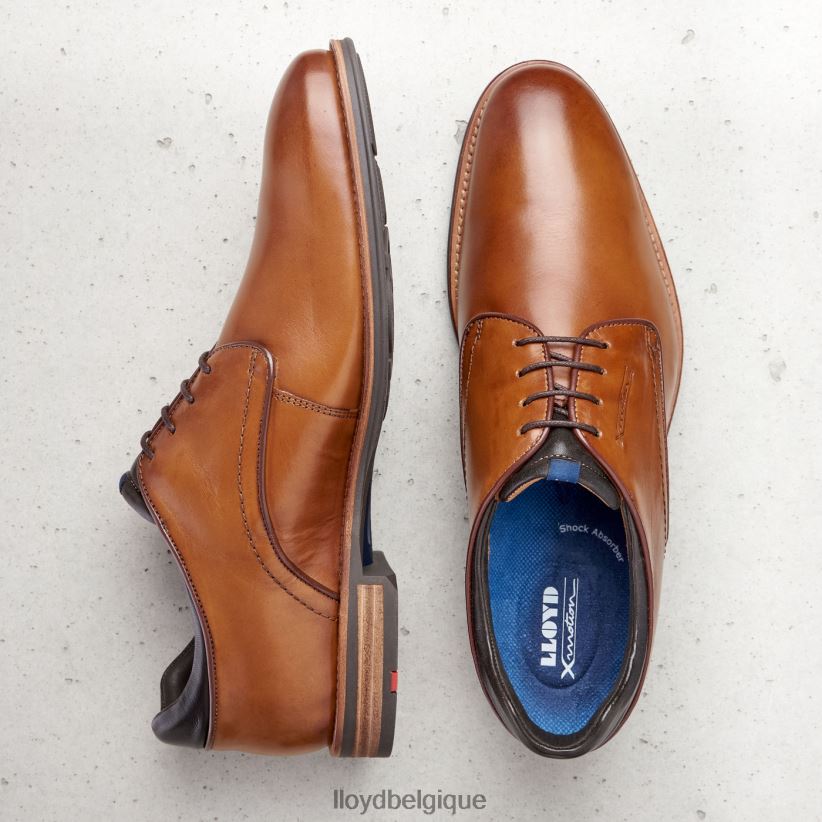 LLOYD Massimo Hommes brun 4Z6Z66201 chaussures