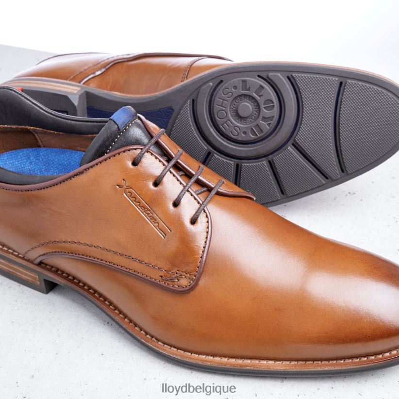 LLOYD Massimo Hommes brun 4Z6Z66201 chaussures