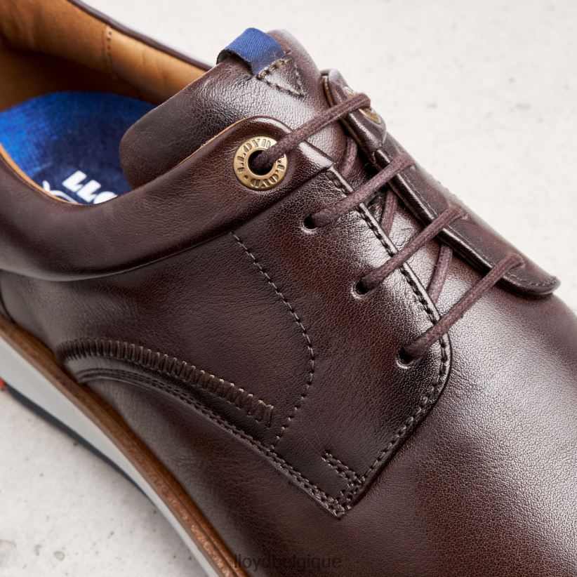 LLOYD Mathieu Hommes brun 4Z6Z66242 chaussures