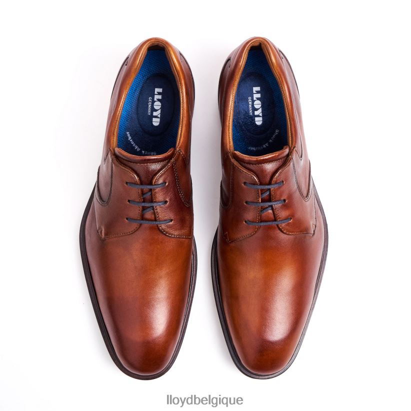 LLOYD Monty Hommes brun 4Z6Z66134 chaussures