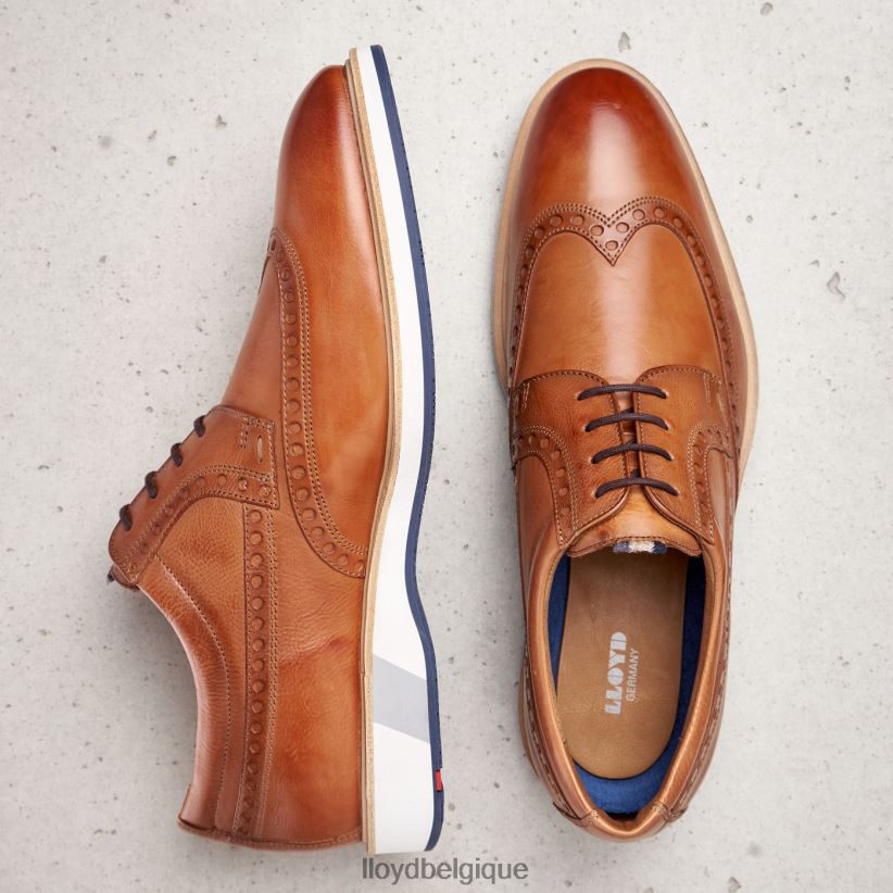 LLOYD Nafir Hommes brun 4Z6Z66247 chaussures