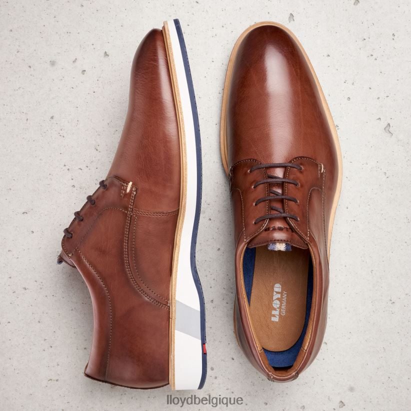 LLOYD Neptun Hommes brun 4Z6Z66218 chaussures