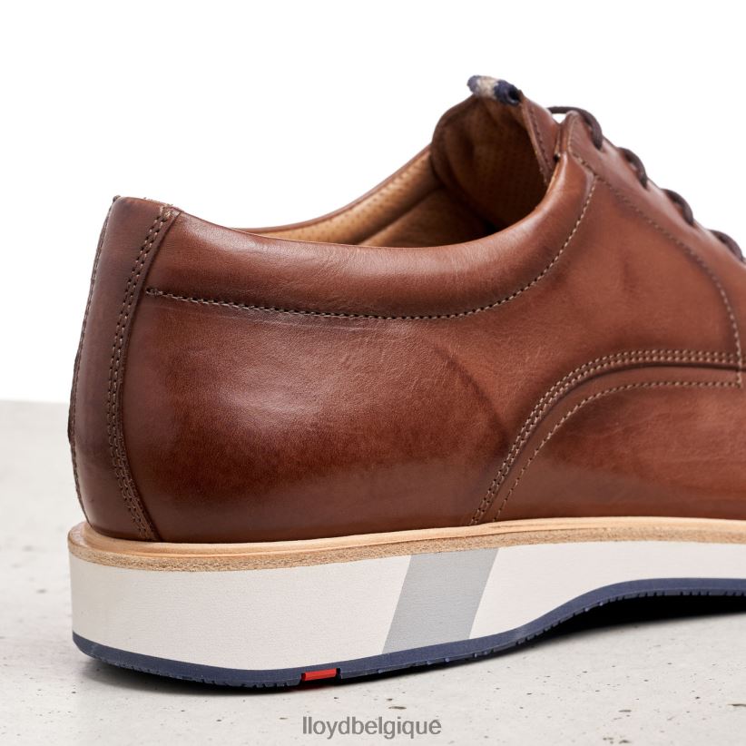 LLOYD Neptun Hommes brun 4Z6Z66218 chaussures