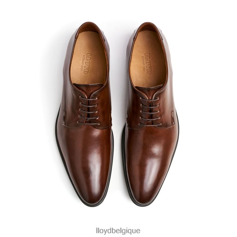 LLOYD Nik Hommes brun 4Z6Z66127 chaussures