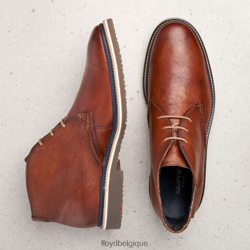 LLOYD Norko Hommes brun 4Z6Z66554 chaussures