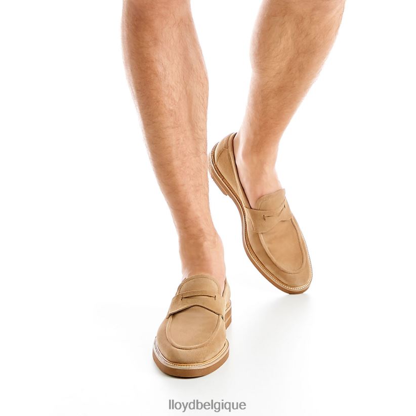 LLOYD Orléans Hommes beige 4Z6Z66624 chaussures