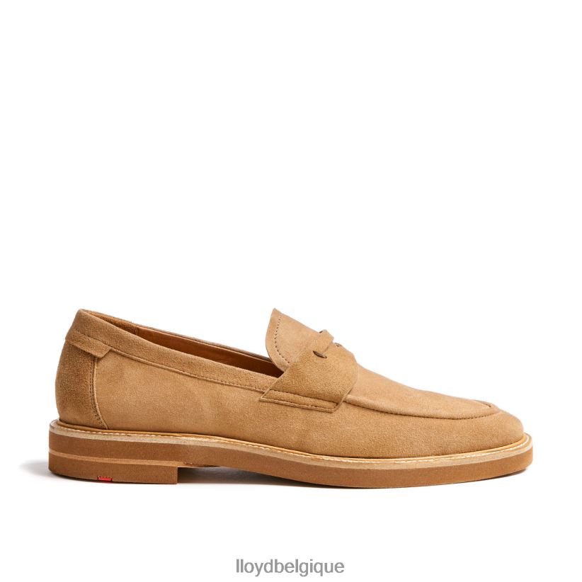 LLOYD Orléans Hommes beige 4Z6Z66624 chaussures