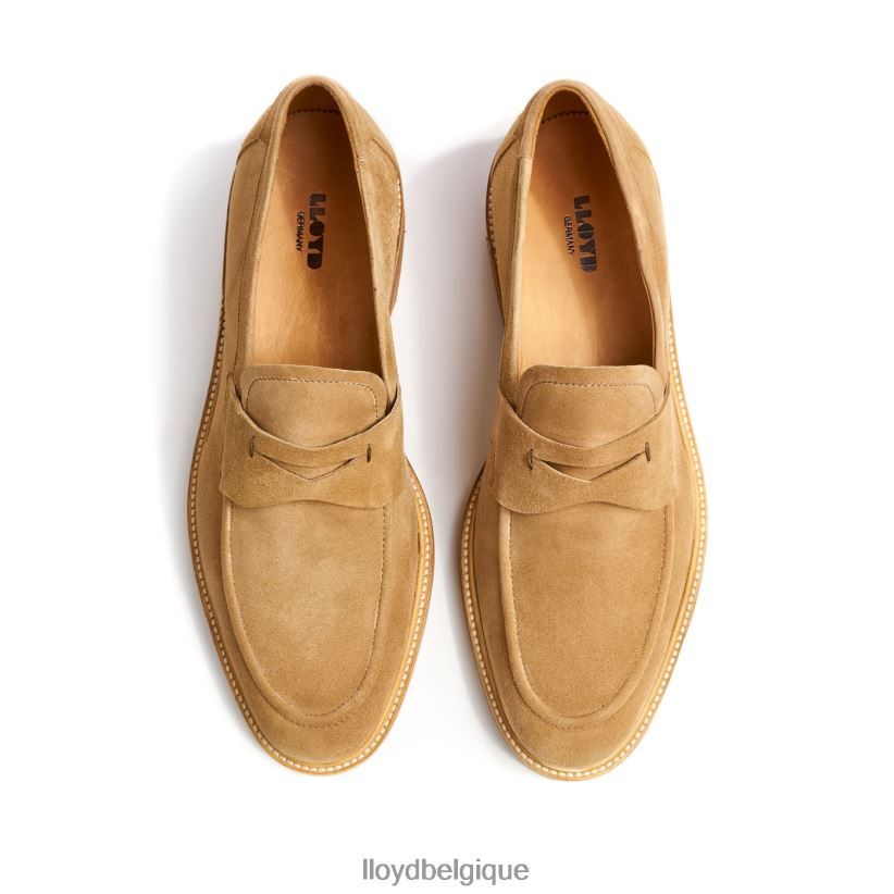 LLOYD Orléans Hommes beige 4Z6Z66624 chaussures