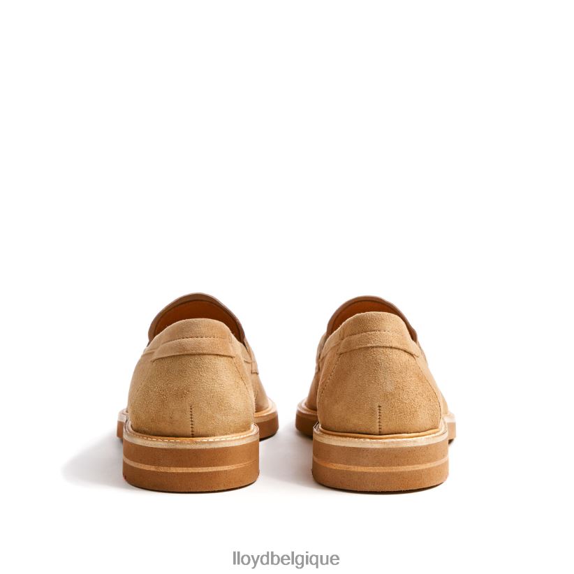 LLOYD Orléans Hommes beige 4Z6Z66624 chaussures