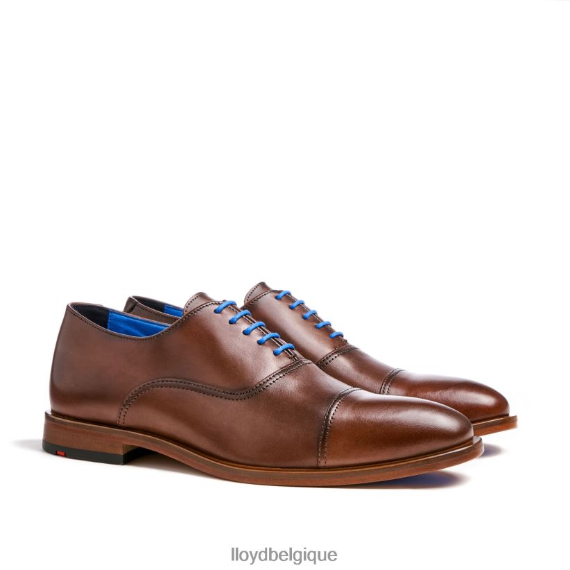 LLOYD Rob Hommes brun 4Z6Z66130 chaussures