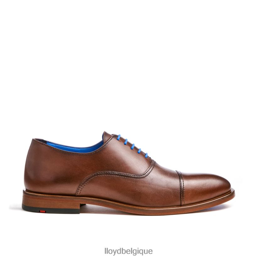 LLOYD Rob Hommes brun 4Z6Z66130 chaussures