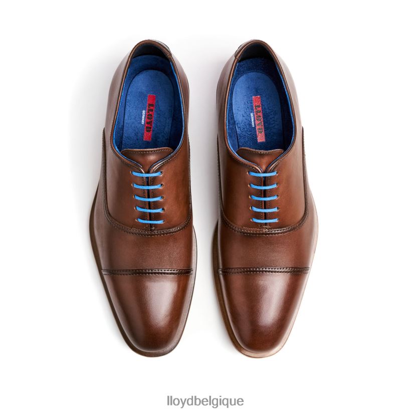 LLOYD Rob Hommes brun 4Z6Z66130 chaussures