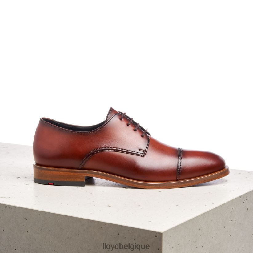 LLOYD Rodney Hommes brun 4Z6Z66195 chaussures