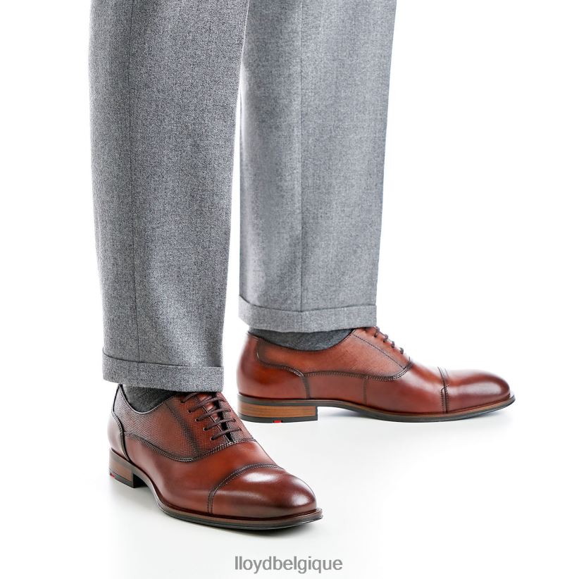 LLOYD Saint-Jacques Hommes brun 4Z6Z66238 chaussures