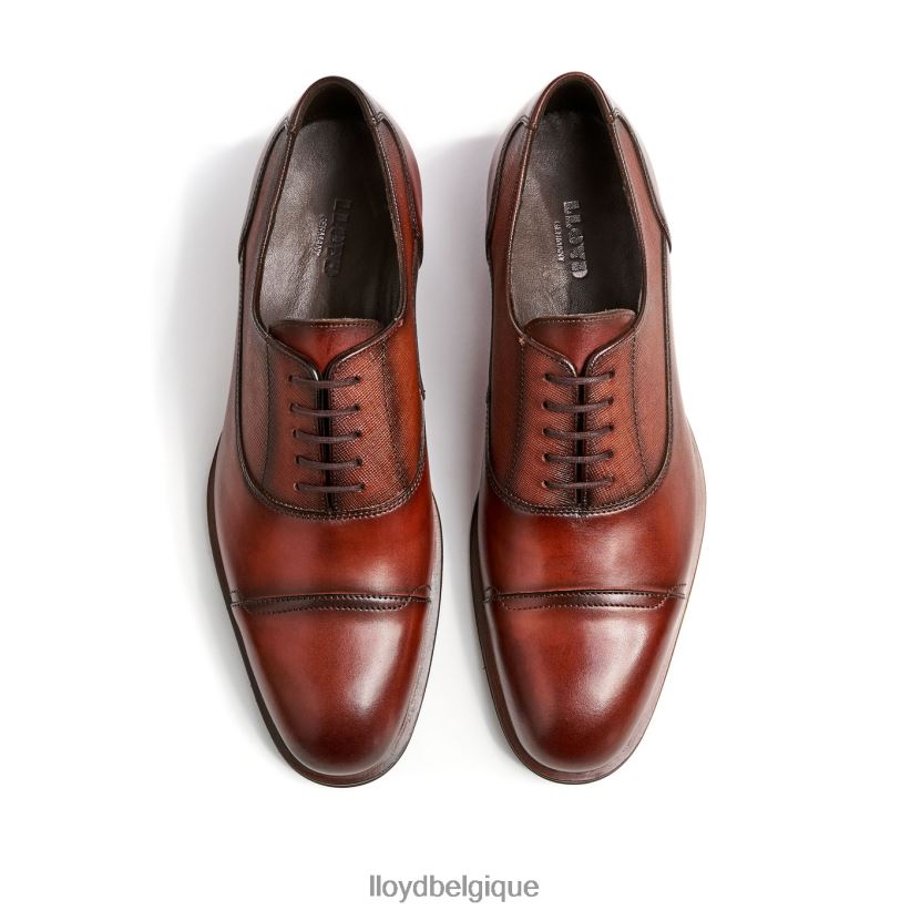 LLOYD Saint-Jacques Hommes brun 4Z6Z66238 chaussures