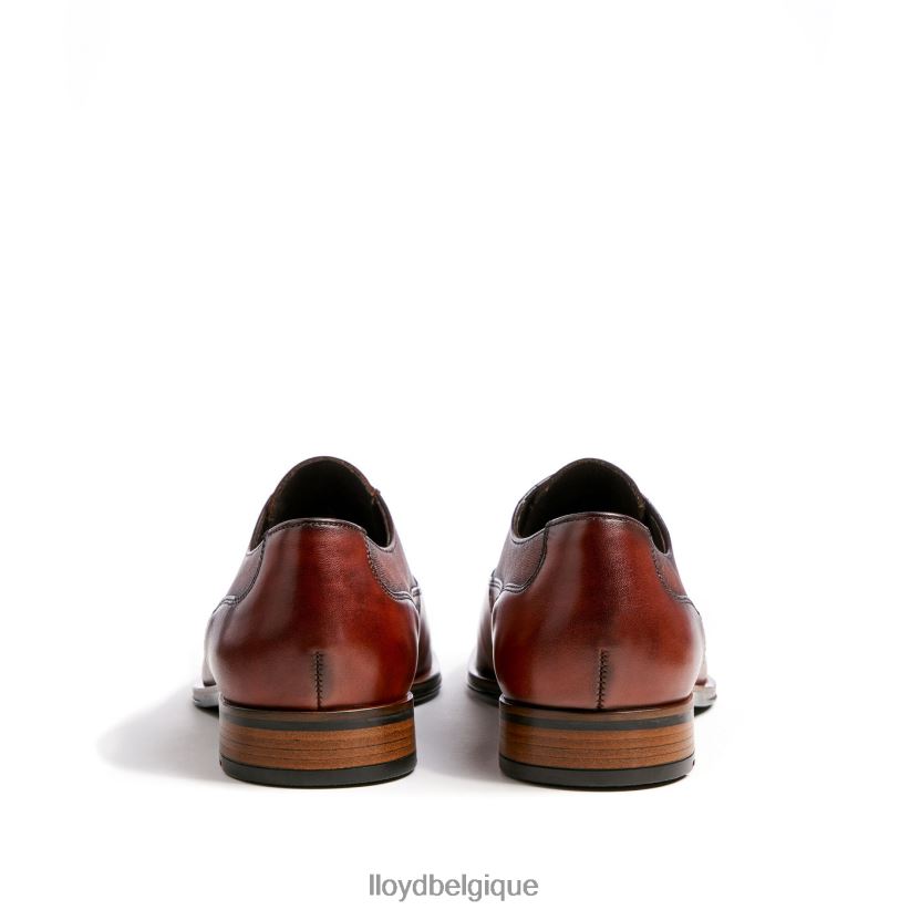 LLOYD Saint-Jacques Hommes brun 4Z6Z66238 chaussures