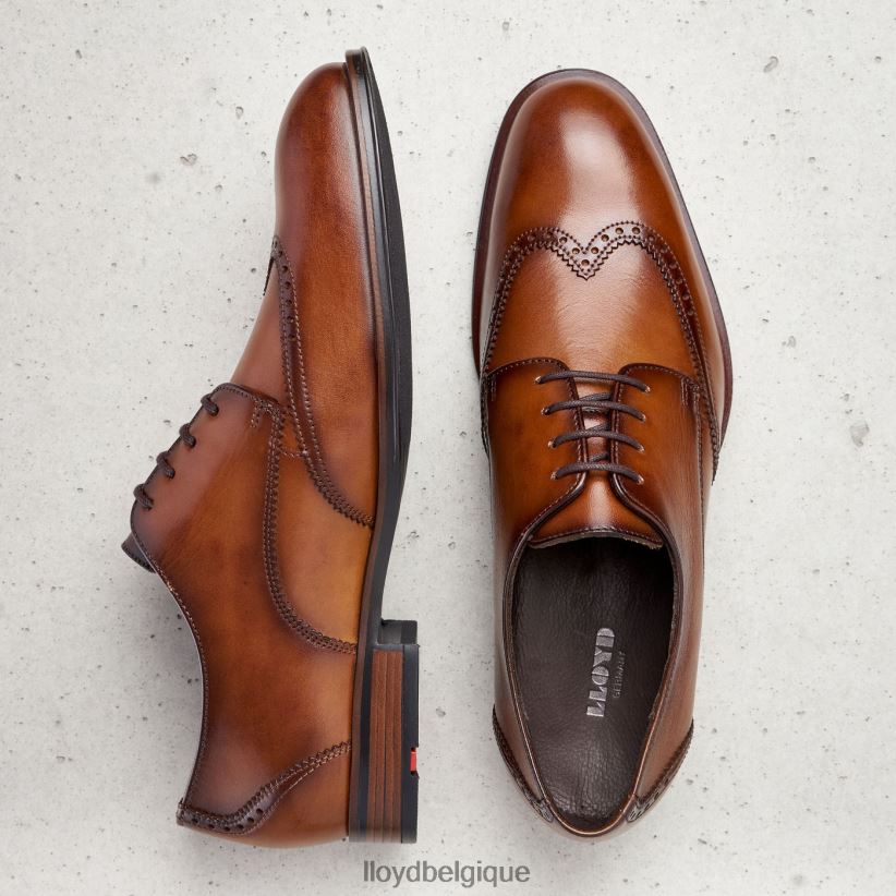 LLOYD Samson Hommes brun 4Z6Z66235 chaussures