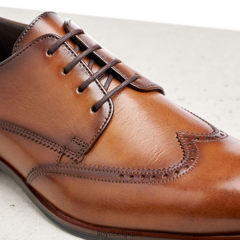 LLOYD Samson Hommes brun 4Z6Z66235 chaussures