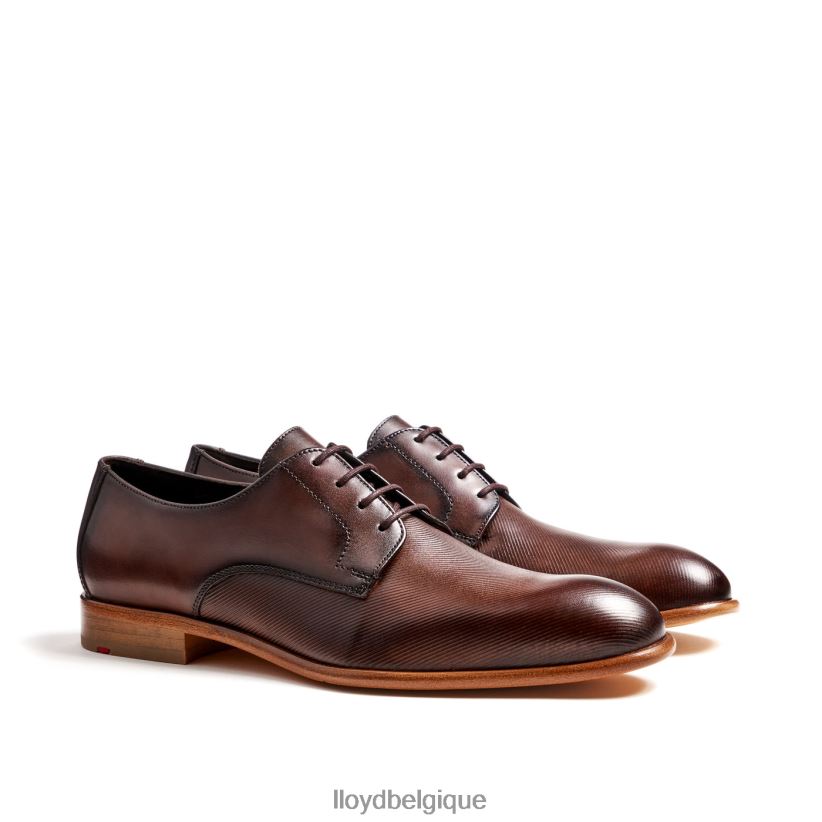 LLOYD Saïgon Hommes brun 4Z6Z66115 chaussures