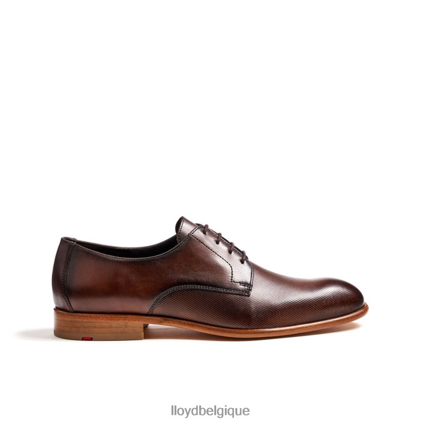 LLOYD Saïgon Hommes brun 4Z6Z66115 chaussures