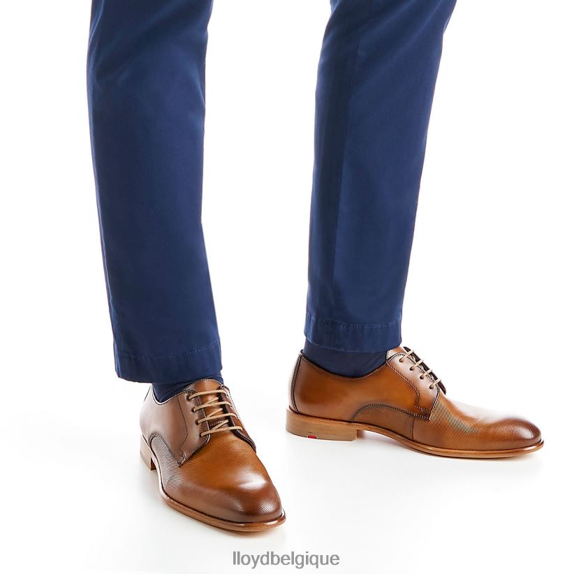 LLOYD Saïgon Hommes brun 4Z6Z66158 chaussures